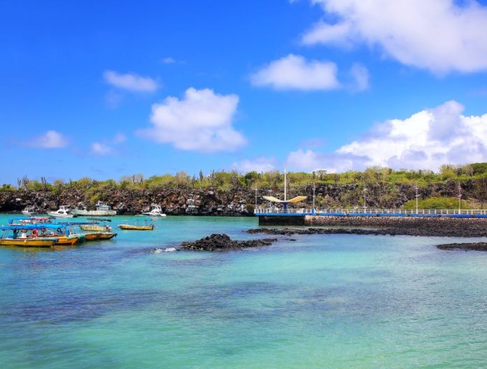Errore umano danneggia l'isola delle Galapagos