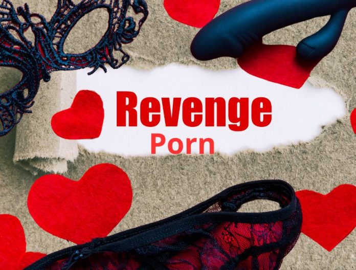 Inchiesta Revenge Porn