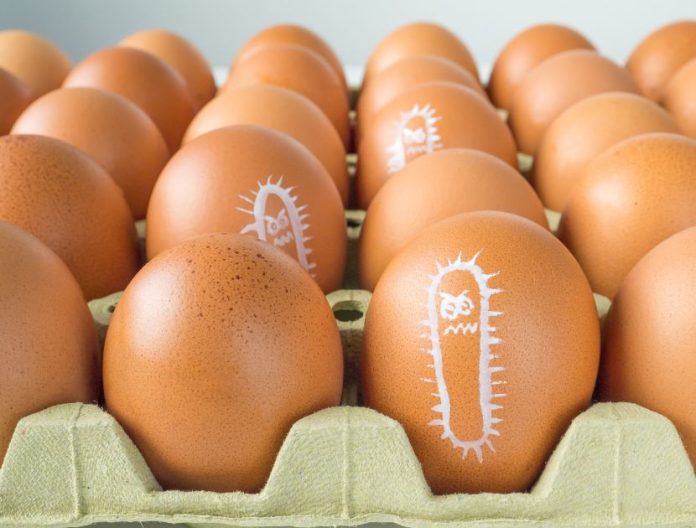 Salmonella nelle uova: nuovo richiamo del Ministero della Salute