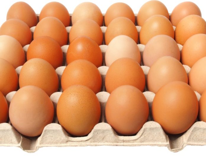 Richiamo uova per salmonella
