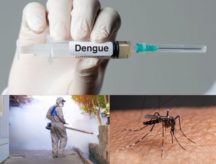 esplosione di dengue in Brasile