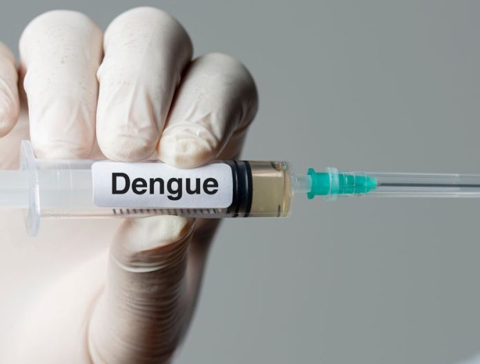Dengue in Basilicata