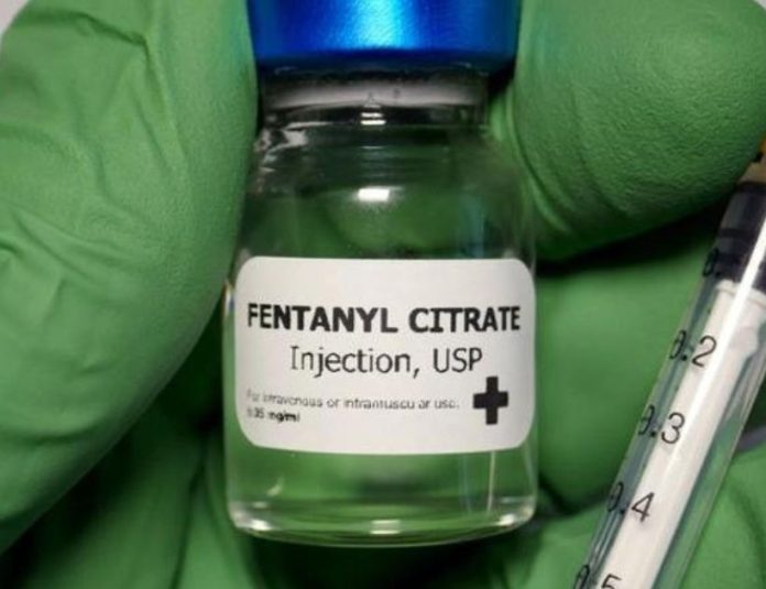 Fentanyl in Italia, Allarme per Dosi Contaminate di Eroina