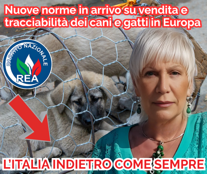 tracciabilità cani gatti