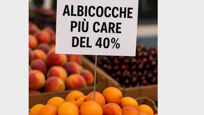 albicocche più care del 40%