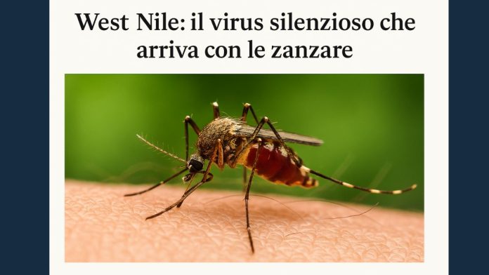 virus West Nile