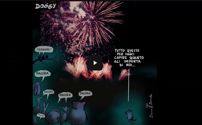 Capodanno senza botti animali