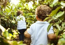 Bimbi bendati e lasciati nel bosco: caccia alla madre